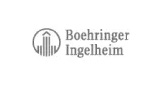 logo_0010_Capa 11
