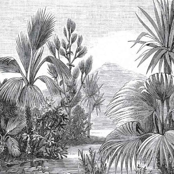 Mural DP - Tropical