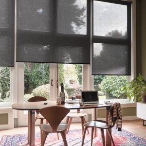 Cortinas roller Hunter Douglas - La europea
