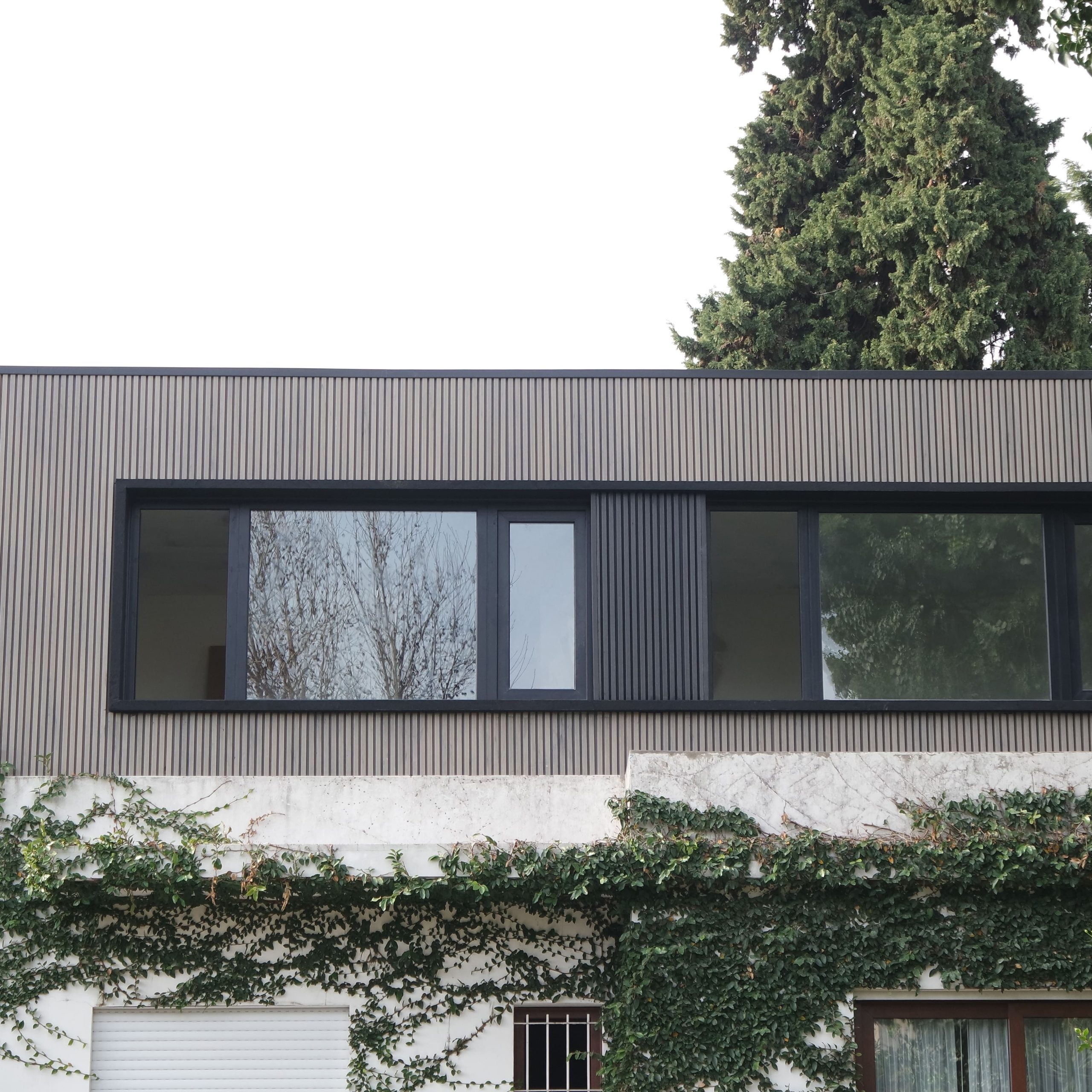 Cladding de WPC - La europea